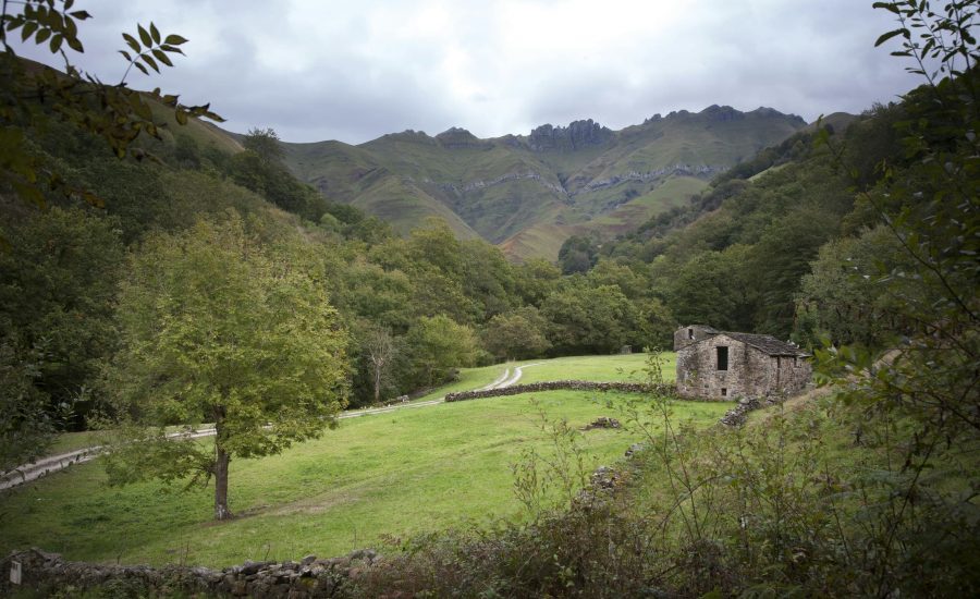 Cabaña en Pisueña