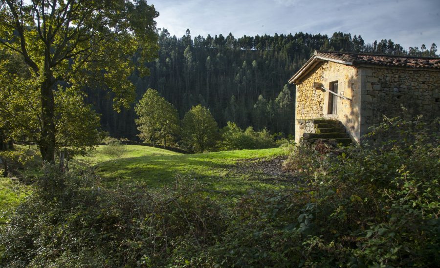 Cabaña en Trasierra
