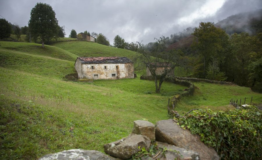 Cabaña vividora en Campillo